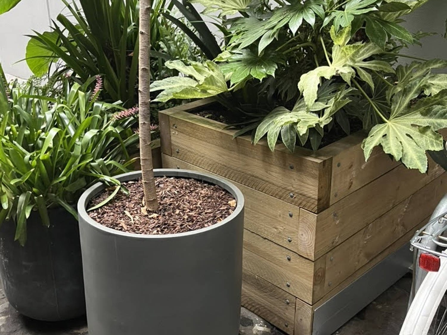 Gro Module Pine Treated Pine Raised Garden Bed