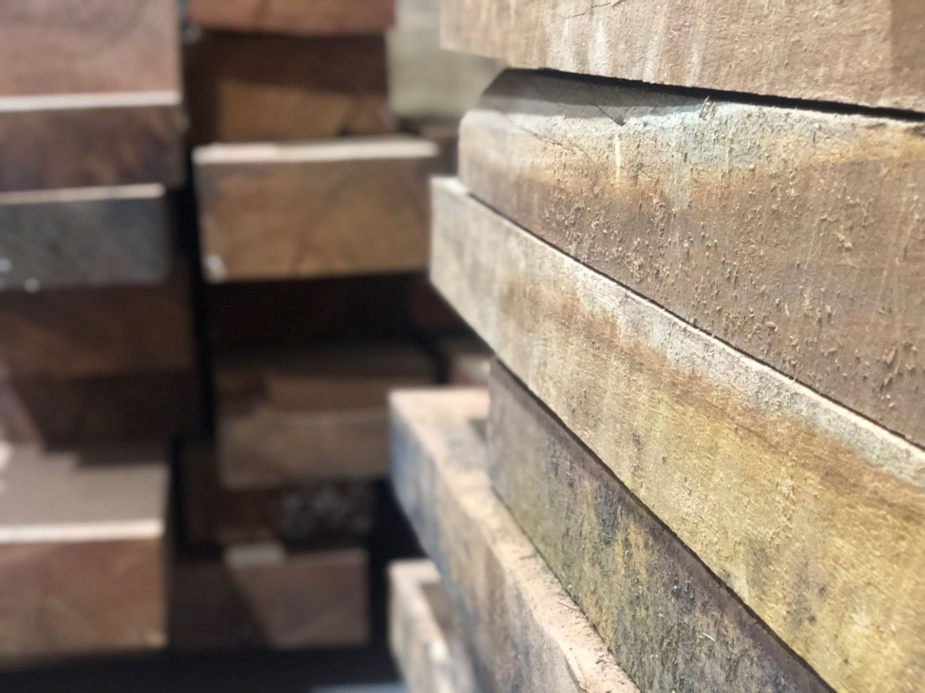 Australian Hardwood Timber vs Wood: What the Difference Means